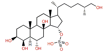 (25R)-5a-Cholestane-3b,4b,6a,8,14a,15b,26-heptol 15-sulfate